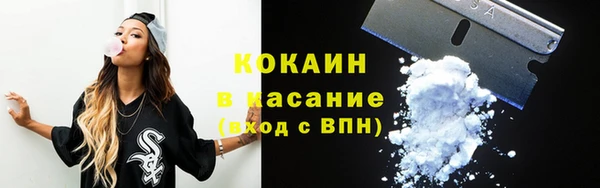 шишки Абинск
