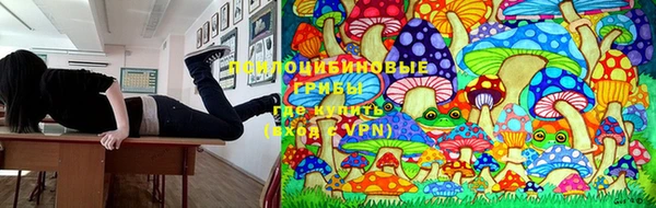 не бодяженный Алексин