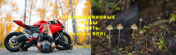 не бодяженный Алексин